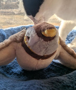 Flying Bird Cat Toy That Actually Flies: The Interactive Wonder That's Revolutionizing Cat Entertainment in 2025