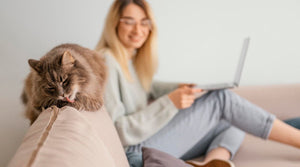 Interactive Pet Toys That Transform Unwanted Behaviors Into Healthy Play: The Science-Backed Solution Every Pet Owner Needs