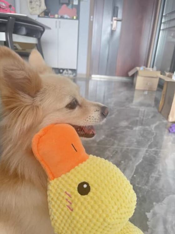 The Ultimate Calming Duck Dog Toy Guide: Why Your Anxious Pup Needs This Emotional Support Companion