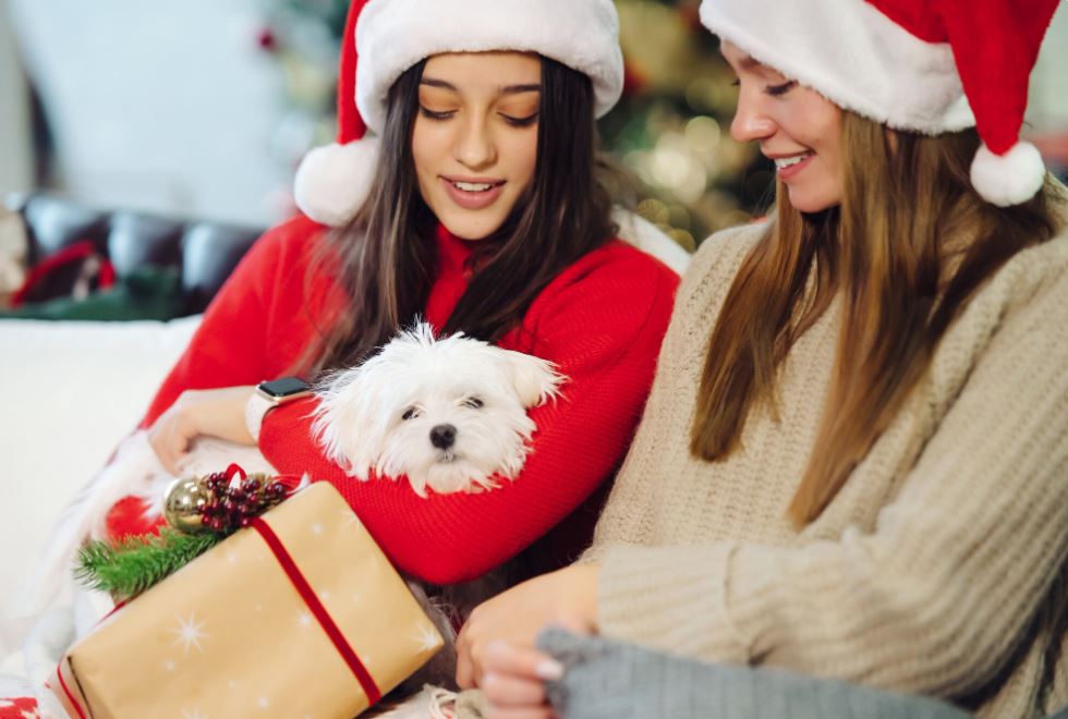 The Ultimate Christmas Pet Gifts Guide 2025: Interactive Toys That Cats & Dogs Actually Want