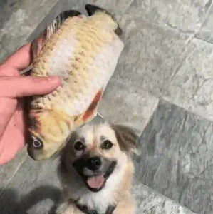Why the Flopping Fish Dog Toy Is Every Dog's New Favorite