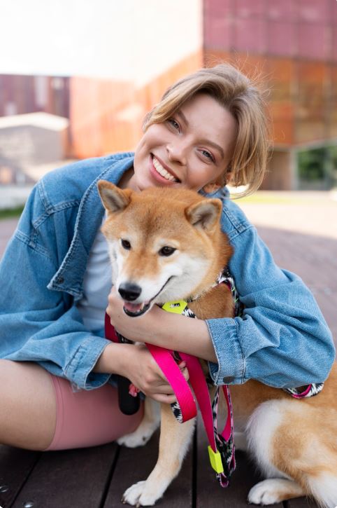 Interactive Dog Toys That Move: Complete Guide to Motion-Activated Pet Entertainment