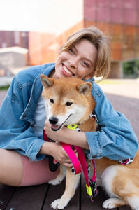 Interactive Dog Toys That Move: Complete Guide to Motion-Activated Pet Entertainment