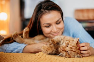 Flappy Fish Cat Toys That Actually Work: The Complete 2025 Guide to Interactive Pet Entertainment