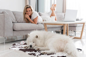 The Best Motion-Activated Dog Toys in 2025: Smart Play for Active and Busy Pets