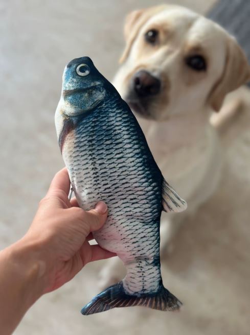 Why Plush Toys for Dogs Are More Than Just Cute – They’re Essential!