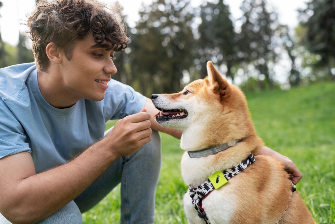 Fish Dog Toy That Flops: The Ultimate Guide to Motion-Activated Entertainment That Keeps Dogs Happy