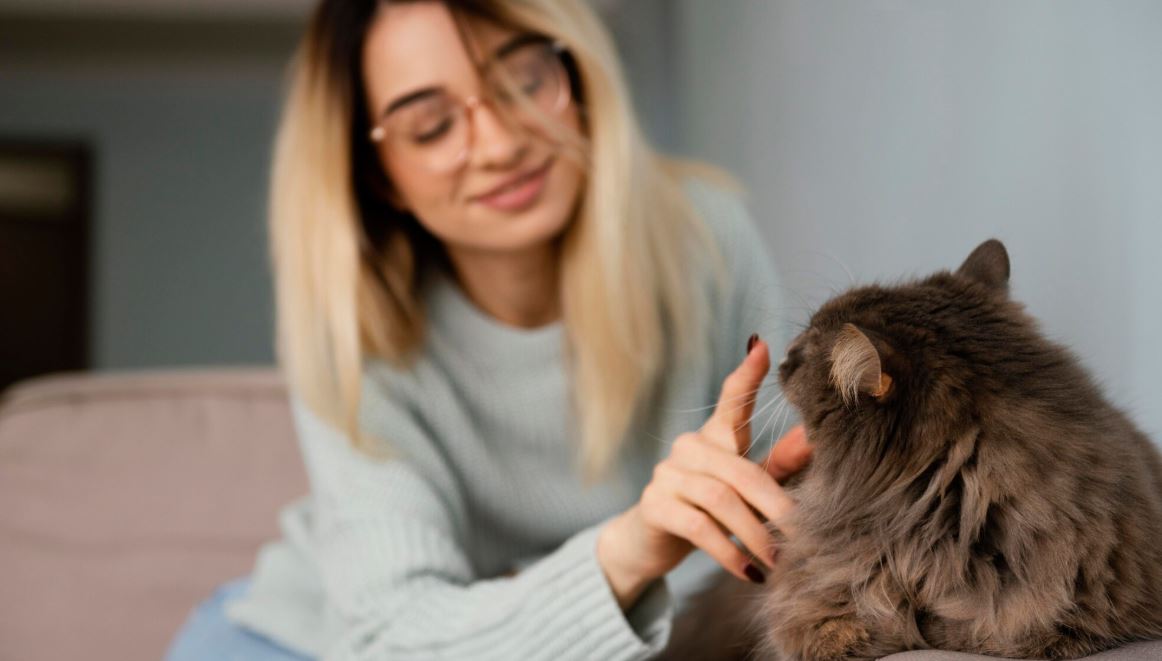 Do Motion-Activated Toys Help With Cat Weight Loss? The Vet-Backed 2025 Guide