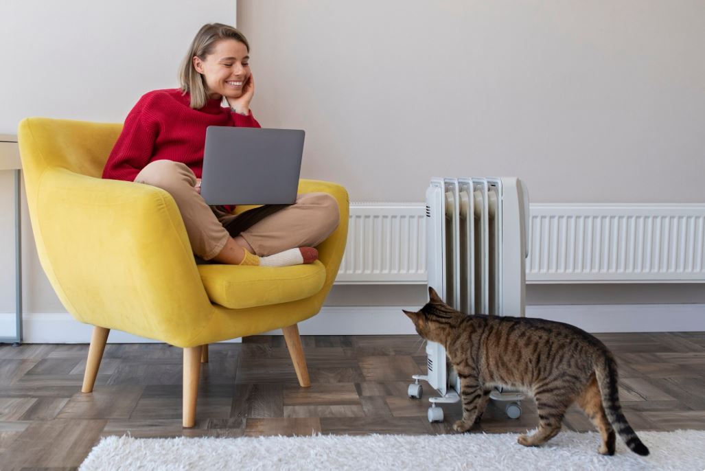 Cat Toys That Move On Their Own: The Complete Guide to Self-Moving Entertainment