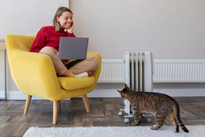 Cat Toys That Move On Their Own: The Complete Guide to Self-Moving Entertainment