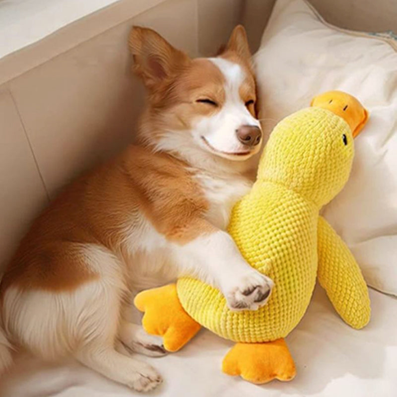 Dog cuddling and chewing a yellow plush duck toy from FLOPPY FISH™, a calming duck dog toy that provides comfort, mental stimulation, and gentle squeaking indoors