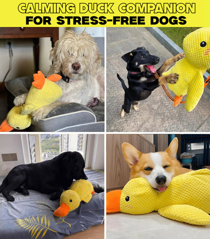 FLOPPY FISH™ Calming Duck Dog Toy – Squeaky Plush Comfort Toy