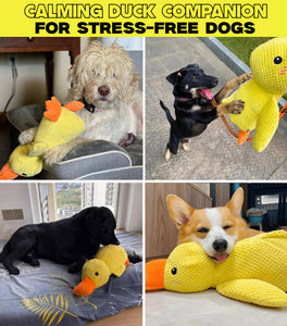 FLOPPY FISH™ Calming Duck Dog Toy – Squeaky Plush Comfort Toy