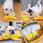 Load image into Gallery viewer, Collage showing dog enjoying a FLOPPY FISH™ plush duck toy – calming dog toy with squeaker for interactive play, emotional support, and stress relief

